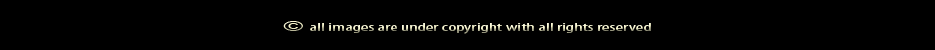 all images are protected by copyright with all rights reserved